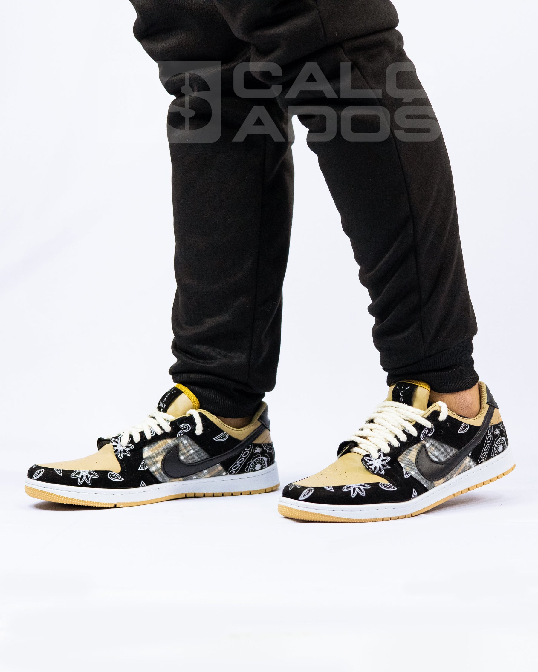 Dunk Low Travis Scott Cactus Jack